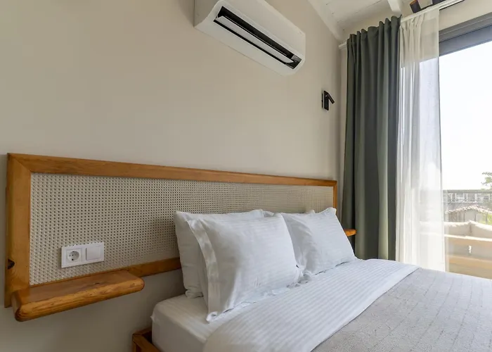 Naro Alacati Koeyici *